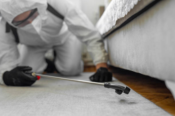 Professional Mosquito Control technician working in Lake Erie Beach, NY